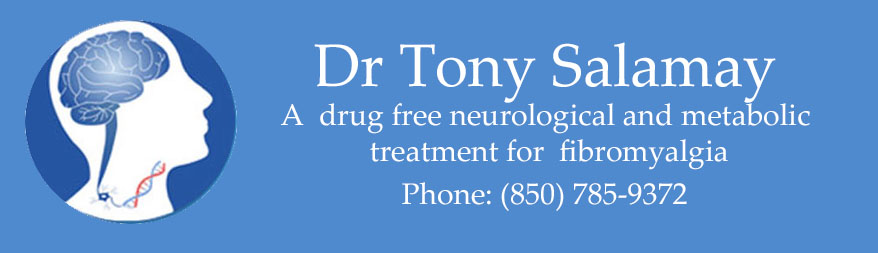 beatyourfibromyalgia.com